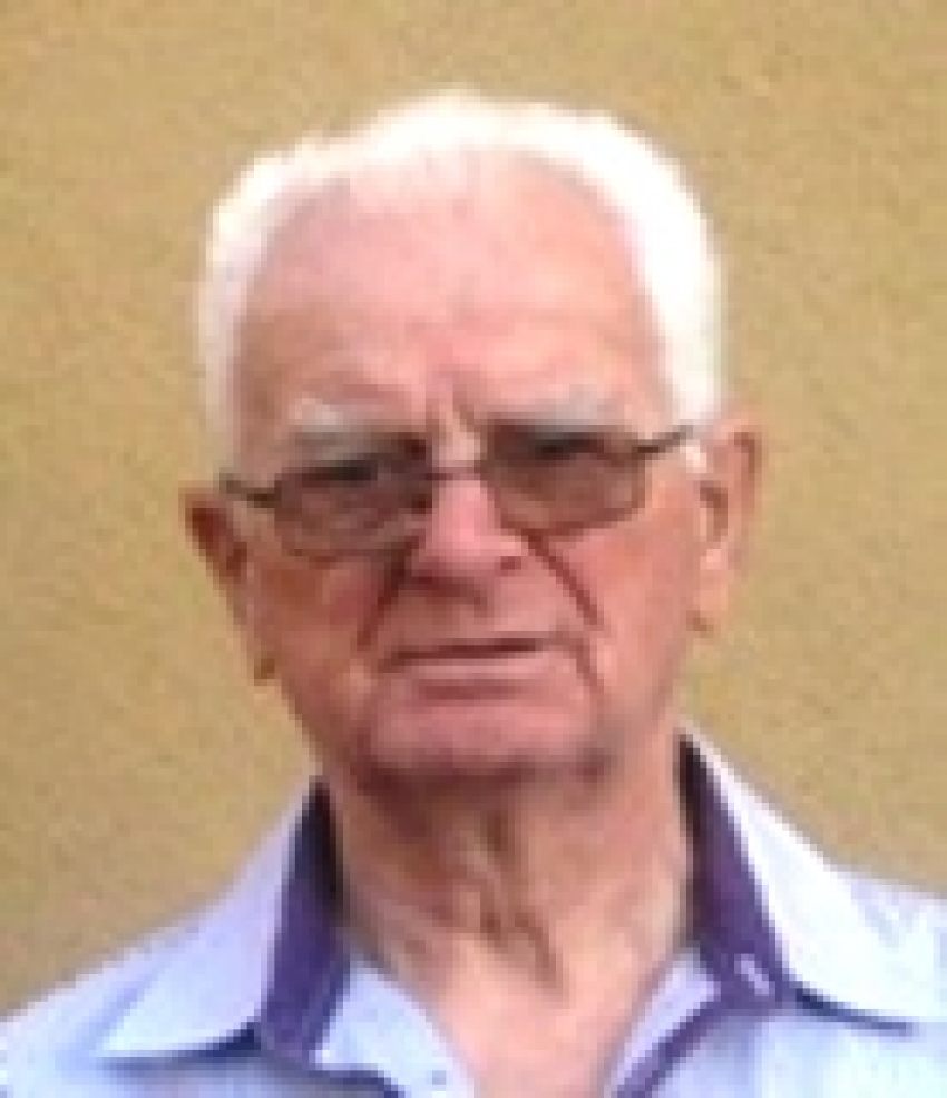 13. Sejfudin Sijamija